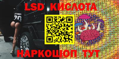 шишки Нягань