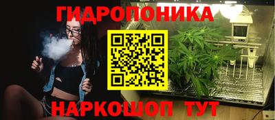 шишки Нягань