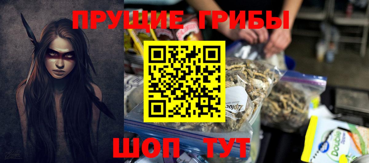 Энгельс  Галлюциногенные грибы Psilocybe  Псилоцибиновые грибы прущие грибы  Вход с VPN 