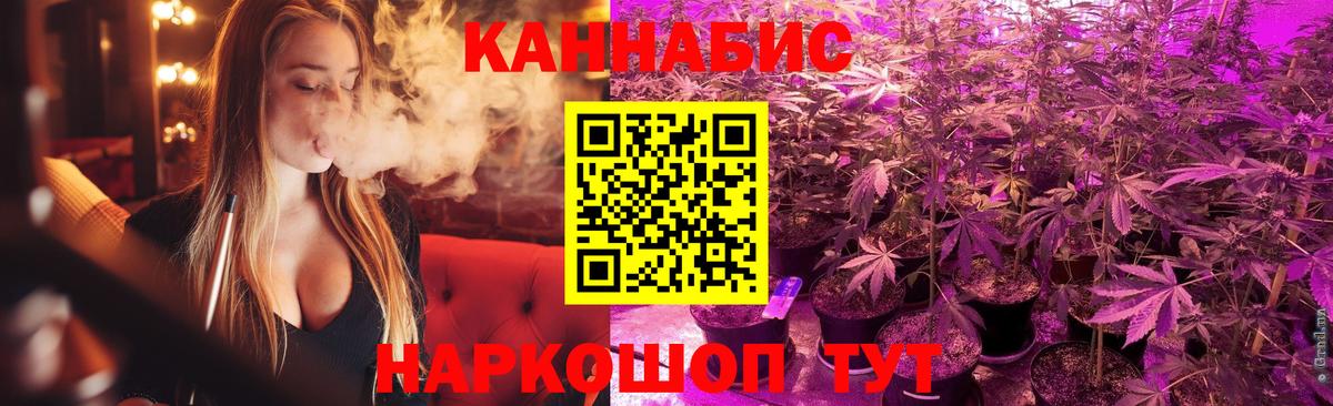 Бошки Шишки план Энгельс